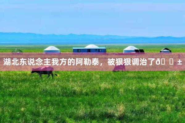 湖北东说念主我方的阿勒泰,被狠狠调治了🌱