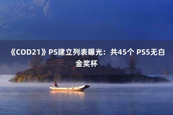 《COD21》PS建立列表曝光：共45个 PS5无白金奖杯
