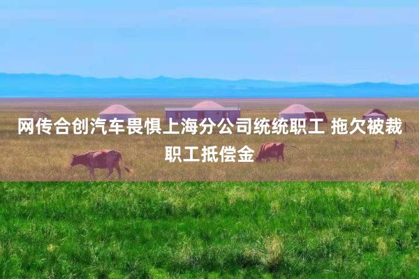 网传合创汽车畏惧上海分公司统统职工 拖欠被裁职工抵偿金