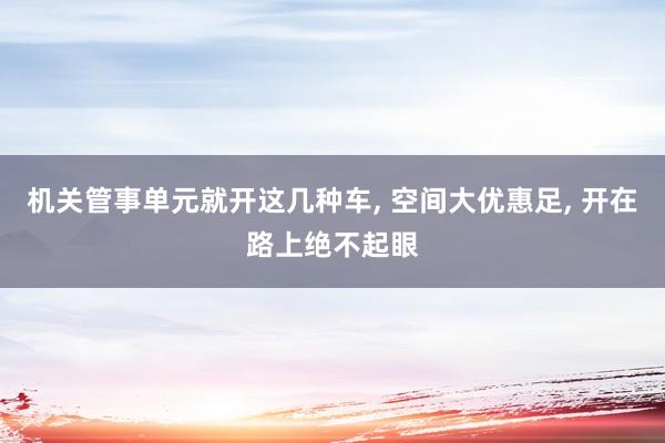 机关管事单元就开这几种车, 空间大优惠足, 开在路上绝不起眼