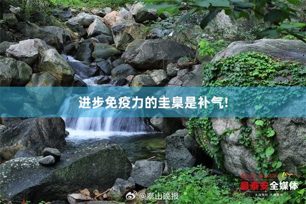 进步免疫力的圭臬是补气!