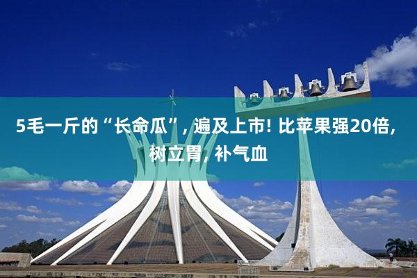 5毛一斤的“长命瓜”, 遍及上市! 比苹果强20倍, 树立胃, 补气血