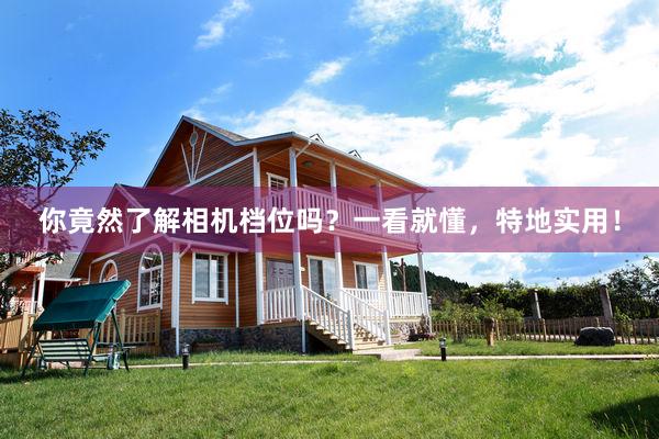 你竟然了解相机档位吗？一看就懂，特地实用！