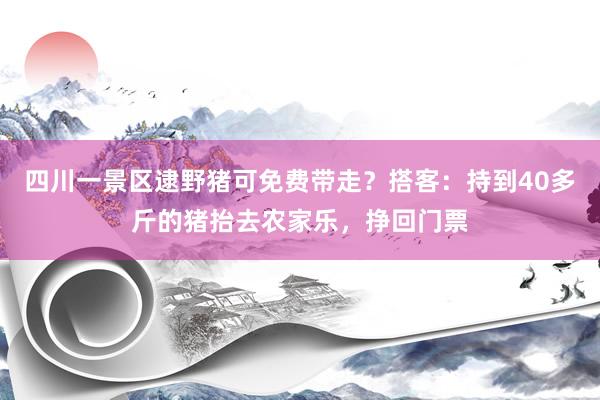 四川一景区逮野猪可免费带走？搭客：持到40多斤的猪抬去农家乐，挣回门票