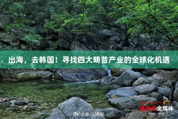 出海，去韩国！寻找四大畴昔产业的全球化机遇
