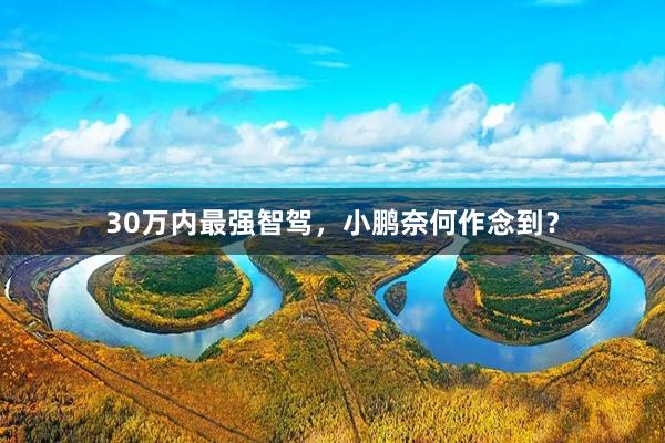30万内最强智驾，小鹏奈何作念到？